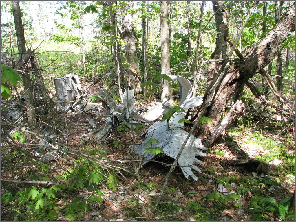 CF100 Crash Site May 2008 15.JPG