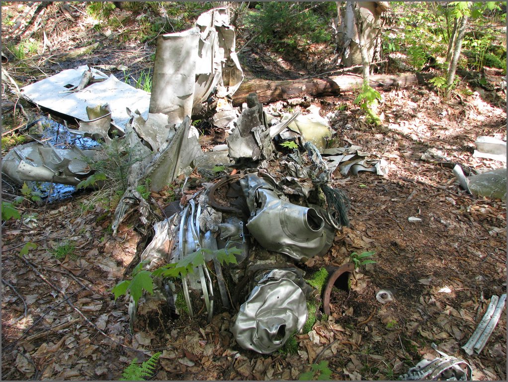 CF100 Crash Site May 2008 16.JPG