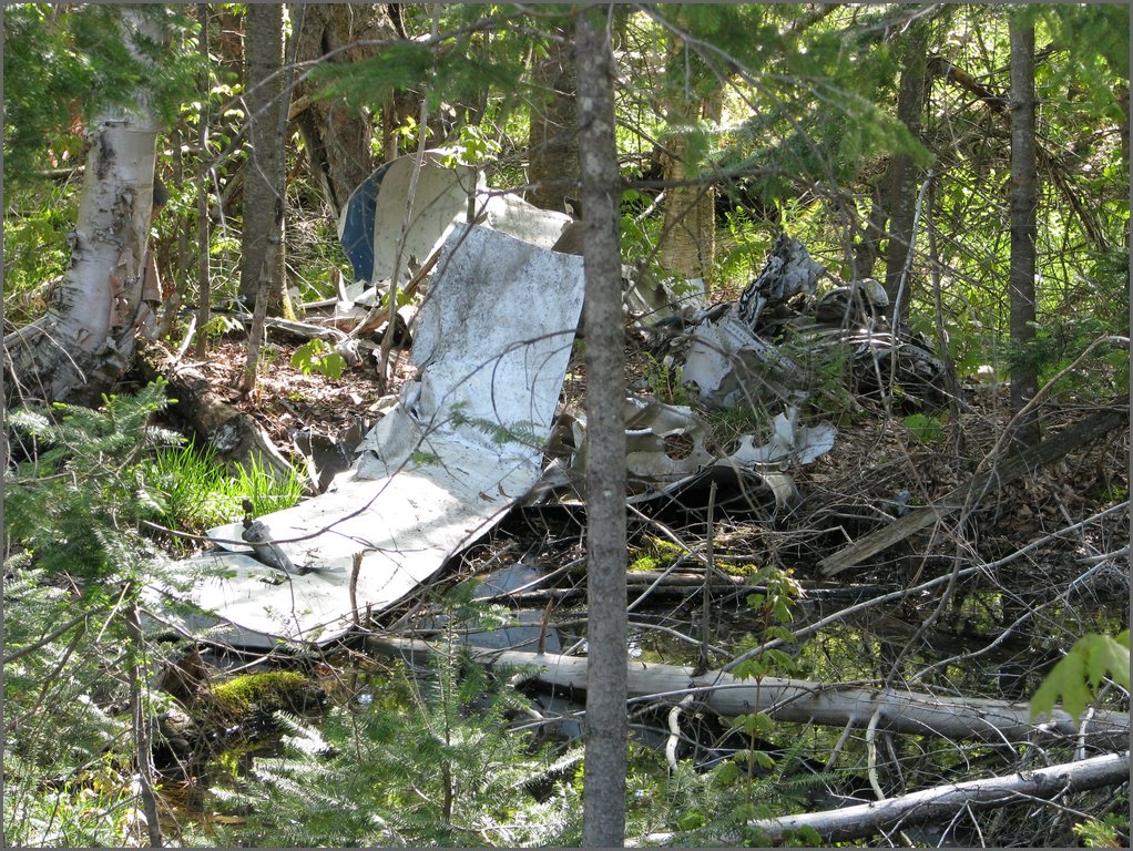 CF100 Crash Site May 2008 19.JPG