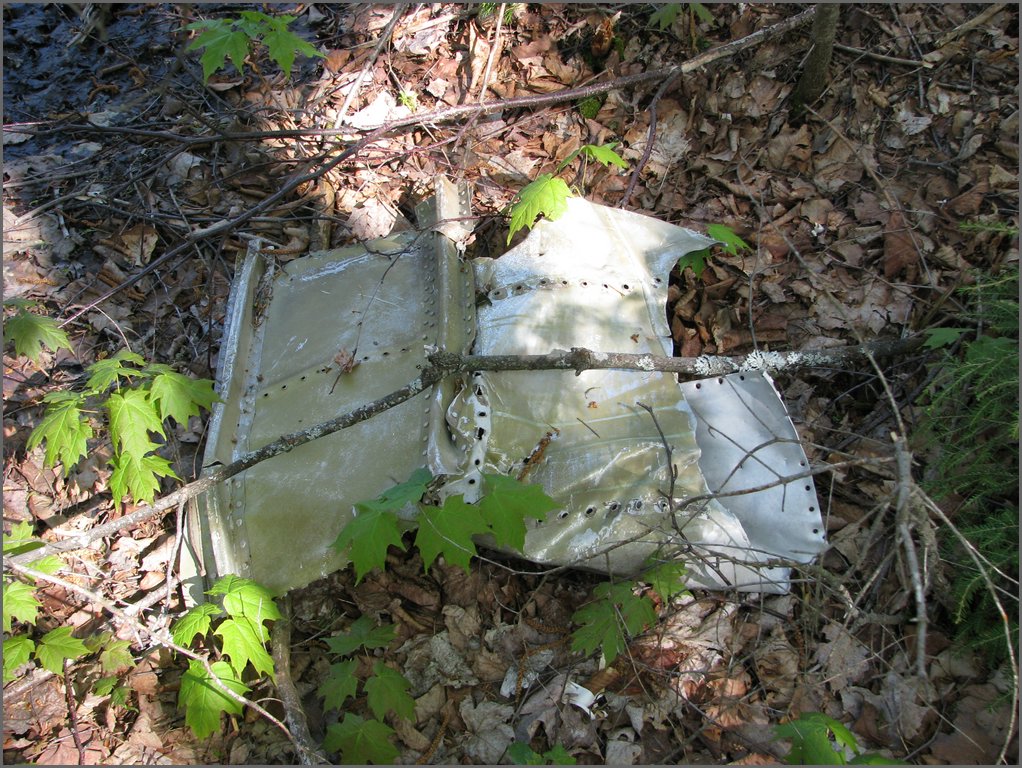 CF100 Crash Site May 2008 21.JPG