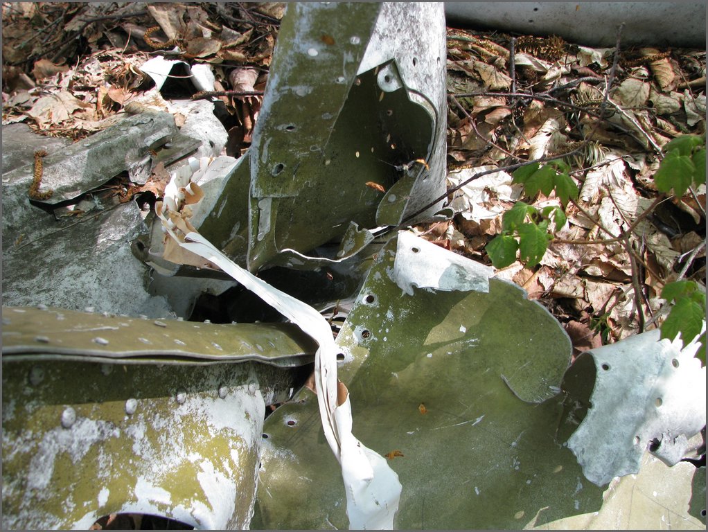 CF100 Crash Site May 2008 24.JPG