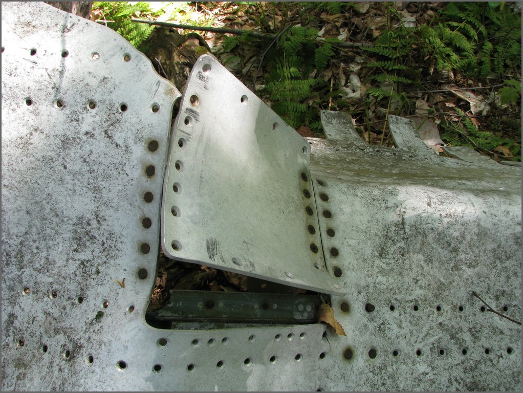 CF100 Crash Site May 2008 27.JPG