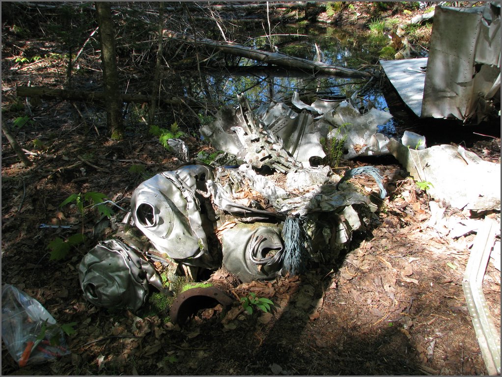 CF100 Crash Site May 2008 28.JPG