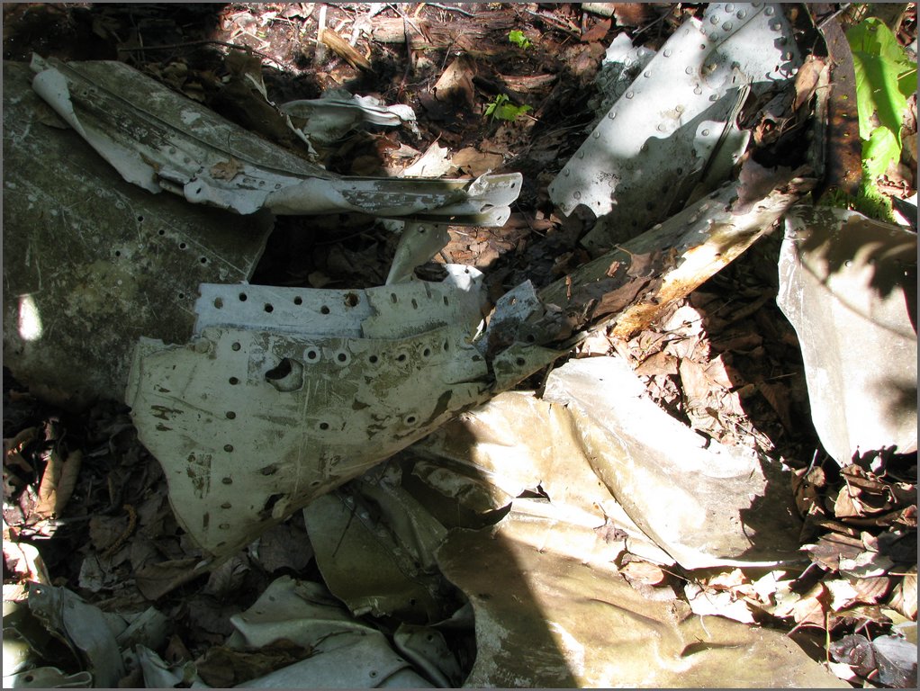 CF100 Crash Site May 2008 31.JPG