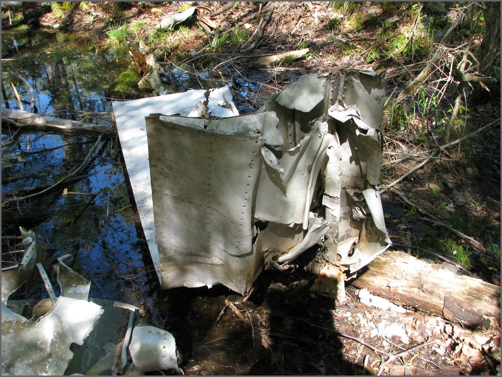 CF100 Crash Site May 2008 32.JPG