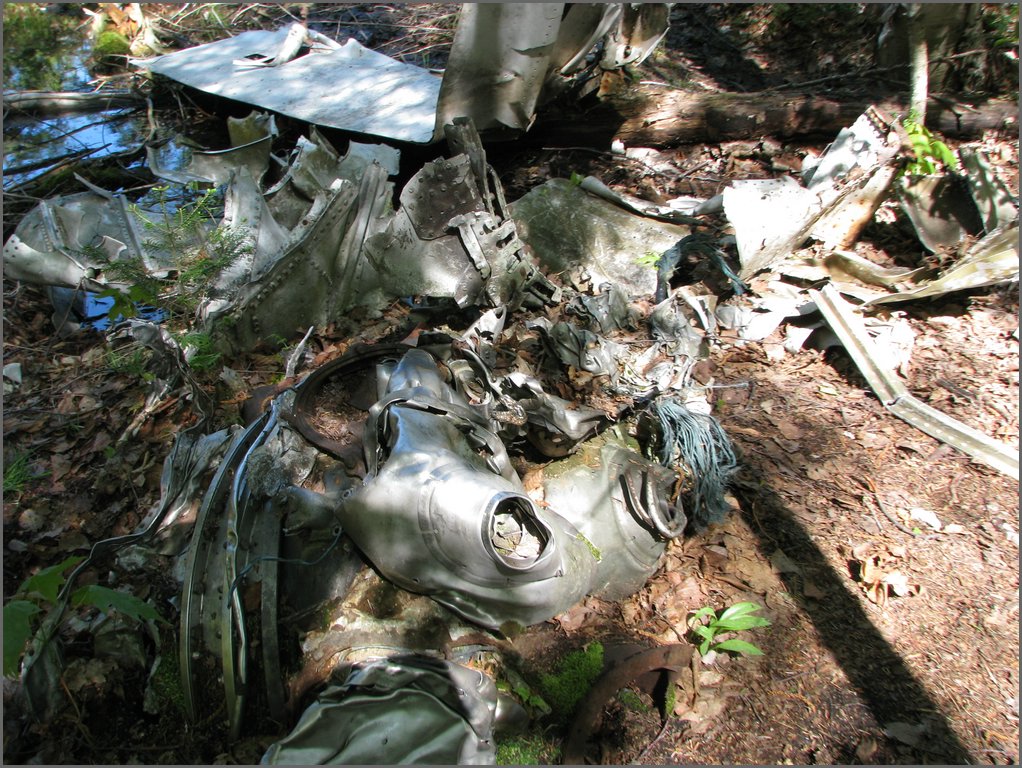 CF100 Crash Site May 2008 42.JPG