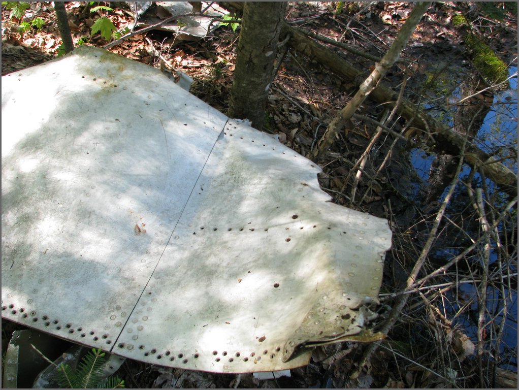 CF100 Crash Site May 2008 45.JPG