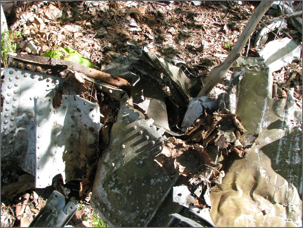 CF100 Crash Site May 2008 47.JPG