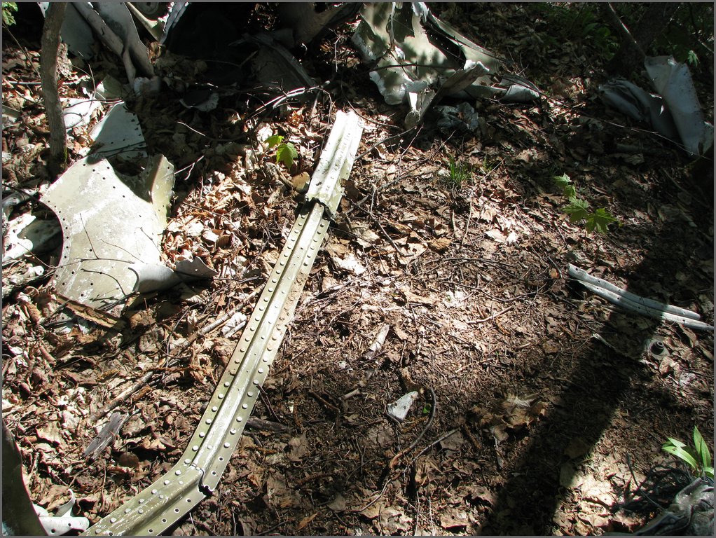 CF100 Crash Site May 2008 48.JPG