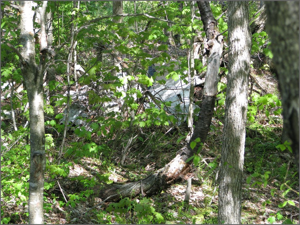 CF100 Crash Site May 2008 50.JPG