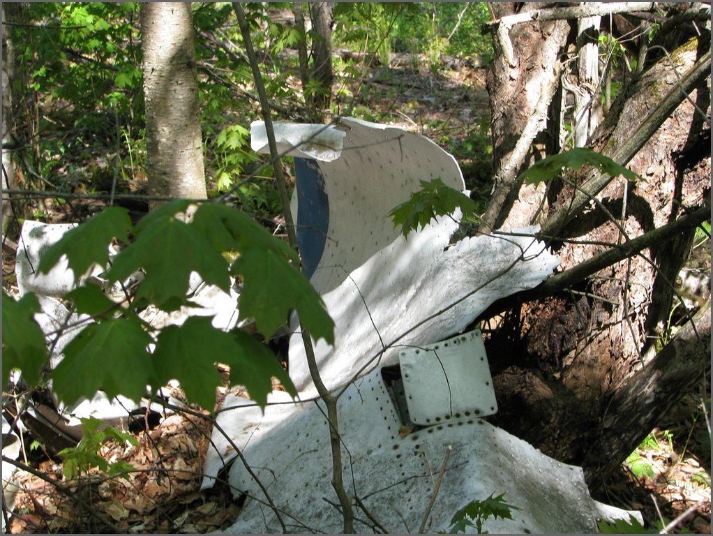 CF100 Crash Site May 2008 52.JPG