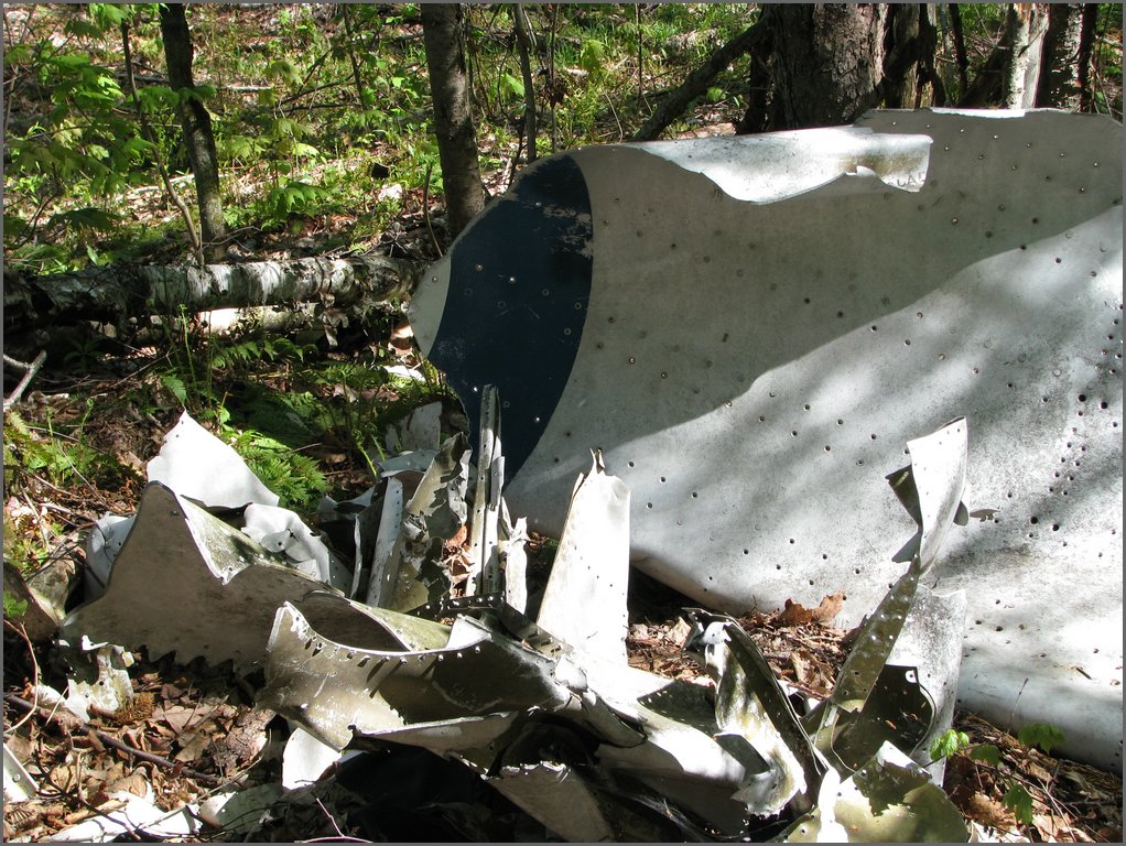 CF100 Crash Site May 2008 53.JPG