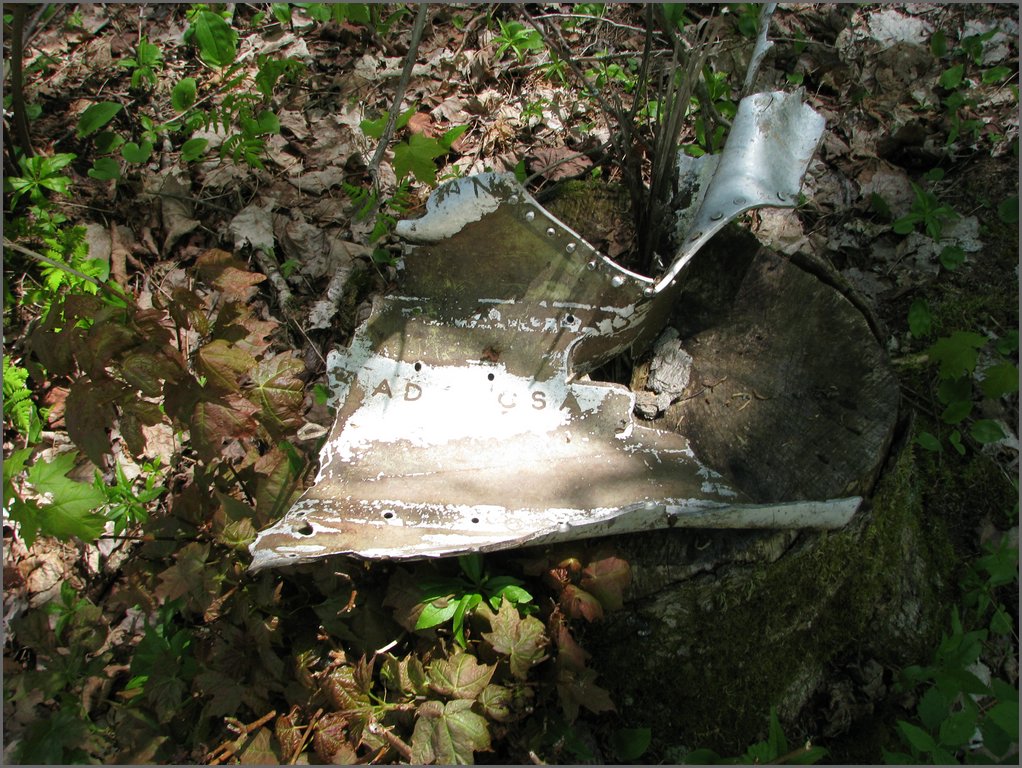 CF100 Crash Site May 2008 56.JPG