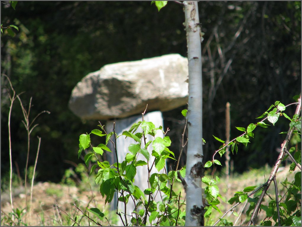 CF100 Crash Site May 2008 63.JPG