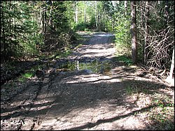 CF100 Crash Site May 2008 01.JPG