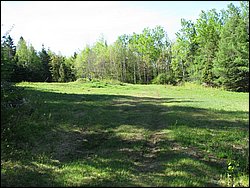 CF100 Crash Site May 2008 04.JPG