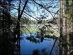 CF100 Crash Site May 2008 06.JPG