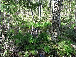 CF100 Crash Site May 2008 09.JPG