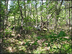 CF100 Crash Site May 2008 14.JPG