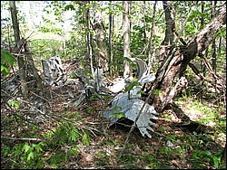 CF100 Crash Site May 2008 15.JPG