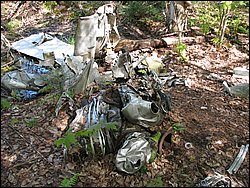 CF100 Crash Site May 2008 16.JPG