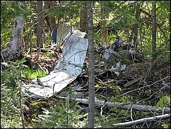 CF100 Crash Site May 2008 19.JPG