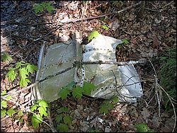 CF100 Crash Site May 2008 21.JPG