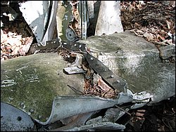 CF100 Crash Site May 2008 23.JPG