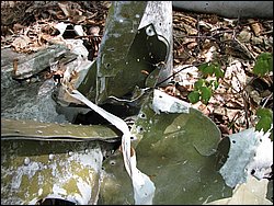 CF100 Crash Site May 2008 24.JPG