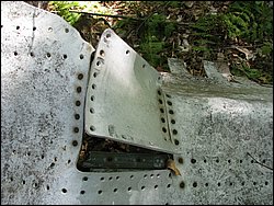 CF100 Crash Site May 2008 27.JPG