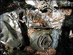 CF100 Crash Site May 2008 29.JPG