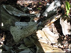 CF100 Crash Site May 2008 31.JPG