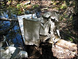 CF100 Crash Site May 2008 32.JPG