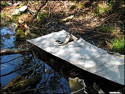 CF100 Crash Site May 2008 34.JPG