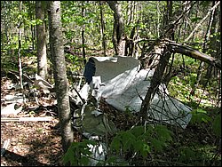 CF100 Crash Site May 2008 40.JPG