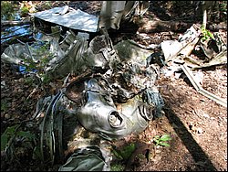 CF100 Crash Site May 2008 42.JPG