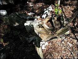 CF100 Crash Site May 2008 44.JPG