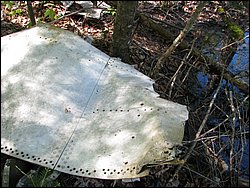 CF100 Crash Site May 2008 45.JPG