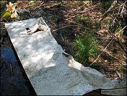 CF100 Crash Site May 2008 46.JPG