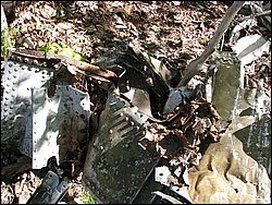 CF100 Crash Site May 2008 47.JPG