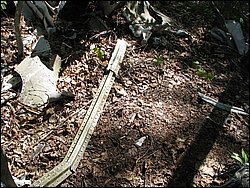 CF100 Crash Site May 2008 48.JPG