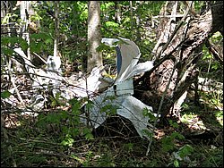 CF100 Crash Site May 2008 51.JPG