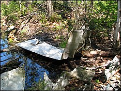 CF100 Crash Site May 2008 54.JPG