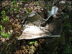 CF100 Crash Site May 2008 56.JPG