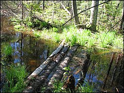 CF100 Crash Site May 2008 59.JPG