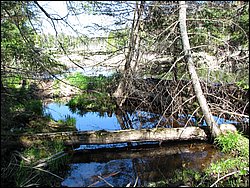 CF100 Crash Site May 2008 60.JPG