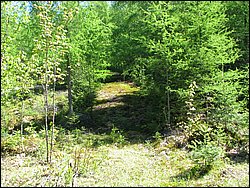 CF100 Crash Site May 2008 61.JPG