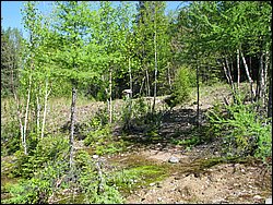 CF100 Crash Site May 2008 62.JPG