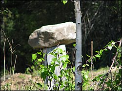 CF100 Crash Site May 2008 63.JPG