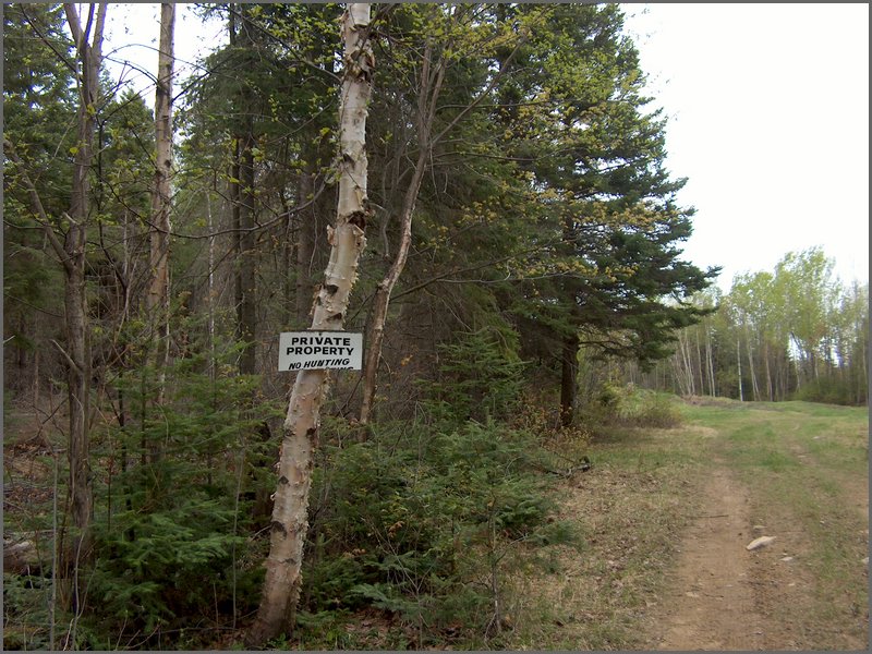 CF100 Crash Site  3.jpg